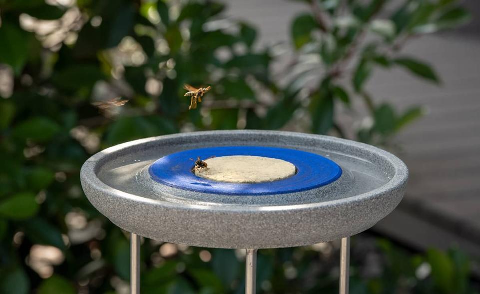 Ständer für die Insektenstation kaufen