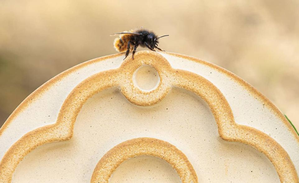 Wildbienenhaus CeraNatur® kaufen