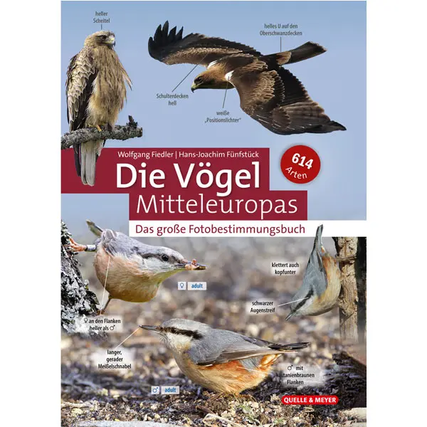 Buch "Die Vögel Mitteleuropas – Das große Fotobestimmungsbuch" kaufen