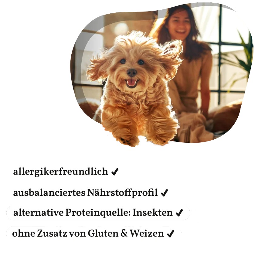 Fellows Entspannter Genießer Trockenfutter kaufen