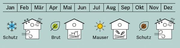 Welzhofer Nistkasten „Toby“ – 45 mm Einflugloch kaufen