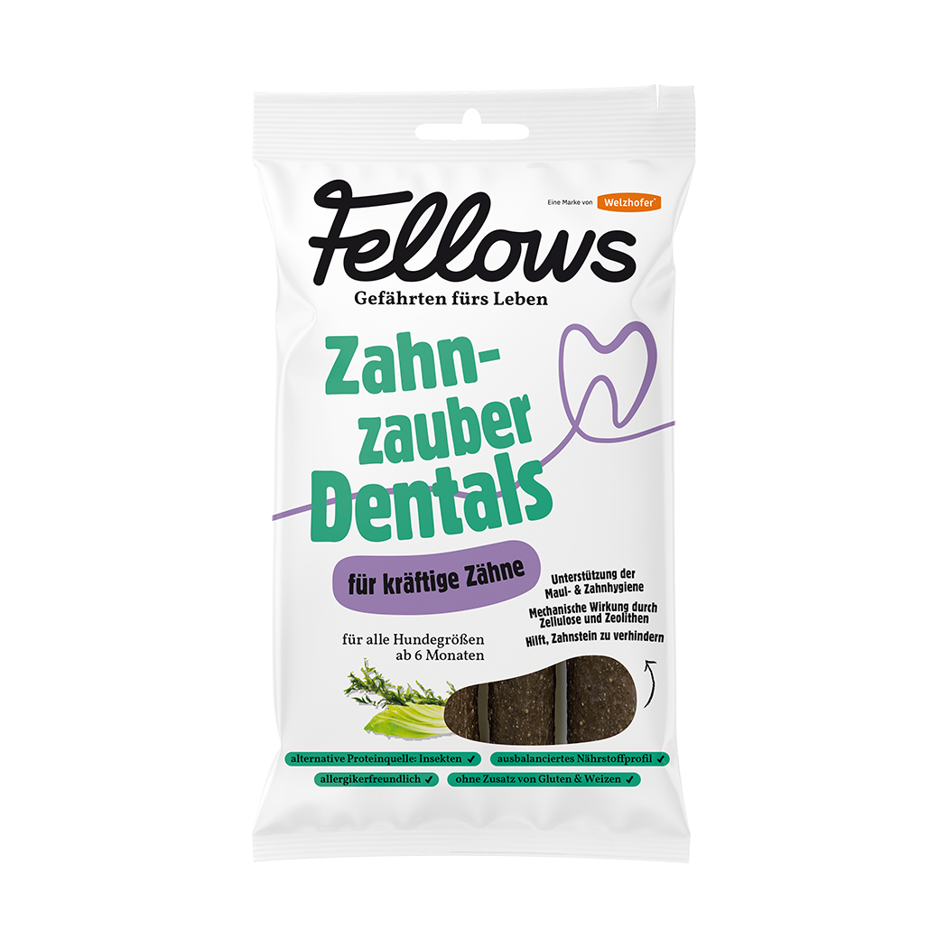 Fellows Zahnzauber Dentals 160 g