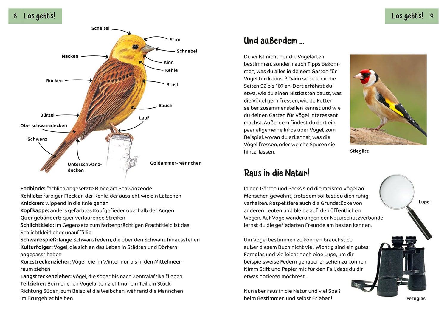 Buch "Welcher Gartenvogel ist das?" (Naturkundebuch für Kinder), Bild 3