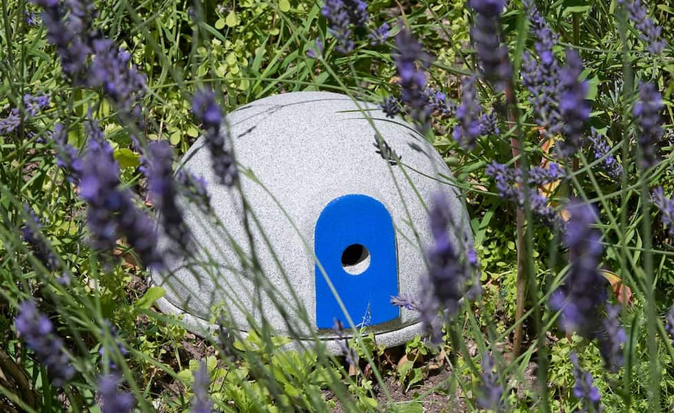 Hummelburg Granicium® kaufen