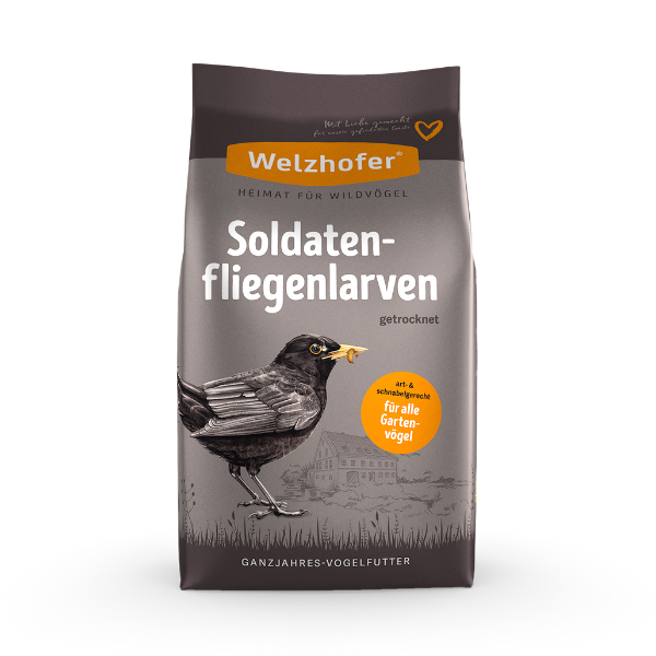 Welzhofer Soldatenfliegenlarven kaufen