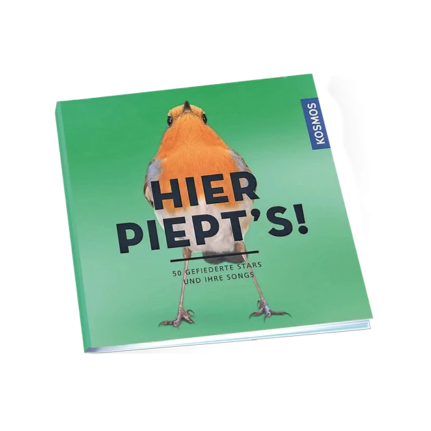 Buch "Hier piept's! 50 gefiederte Stars und ihre Songs" kaufen