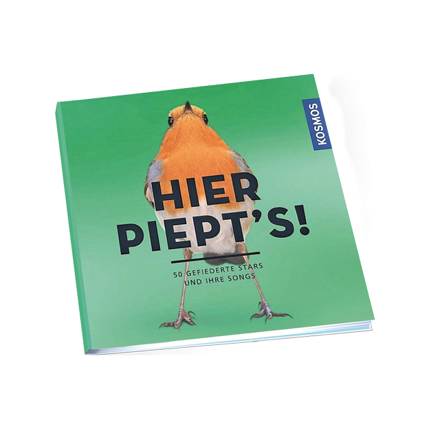 Buch "Hier piept's! 50 gefiederte Stars und ihre Songs" kaufen