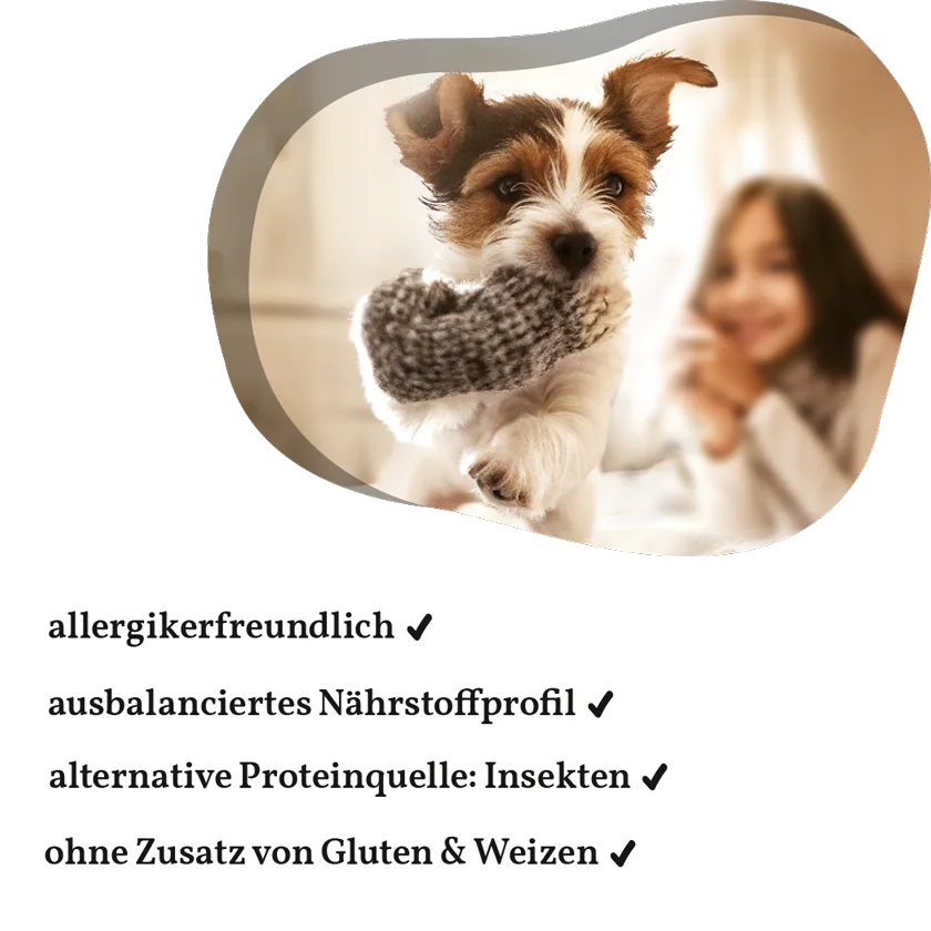 Fellows Kleiner Chaot Nassfutter kaufen
