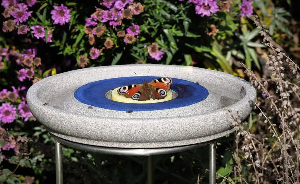 Insektenstation mit 5 Futterschwämmen kaufen