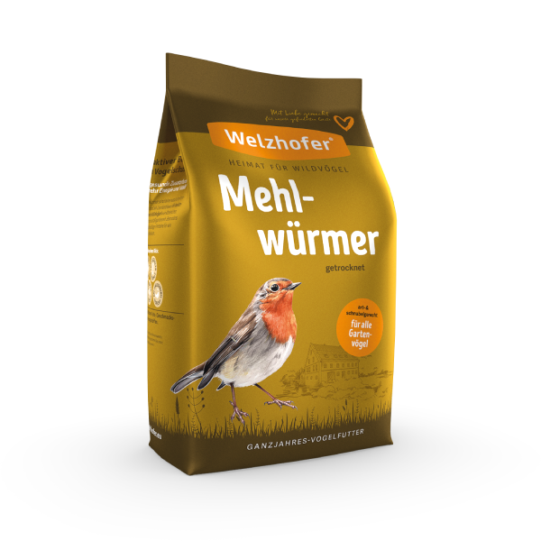 Welzhofer Mehlwürmer kaufen