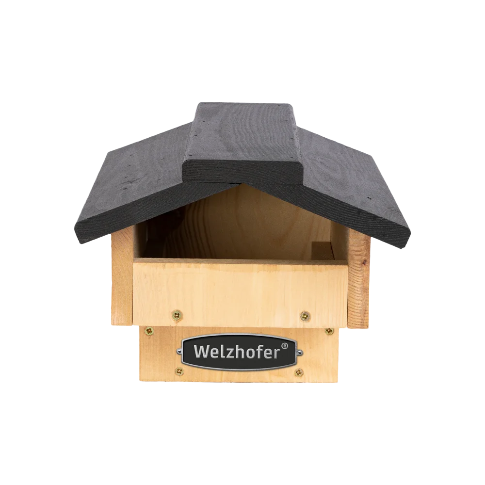 Welzhofer Halbhöhle "David" kaufen