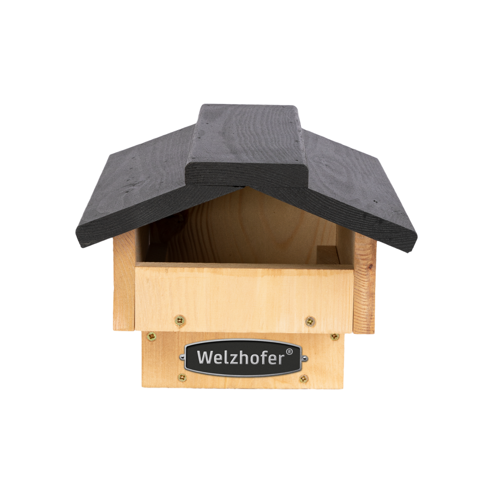 Welzhofer Halbhöhle "David" kaufen