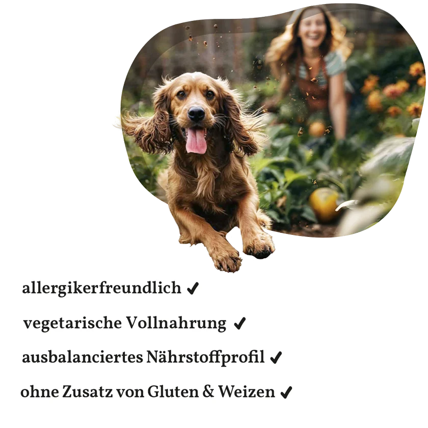 Fellows Veggieheld Trockenfutter kaufen