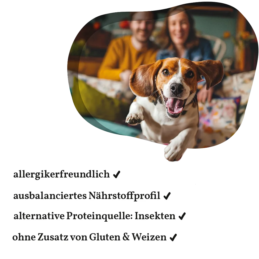 Fellows Lightgewicht Trockenfutter kaufen