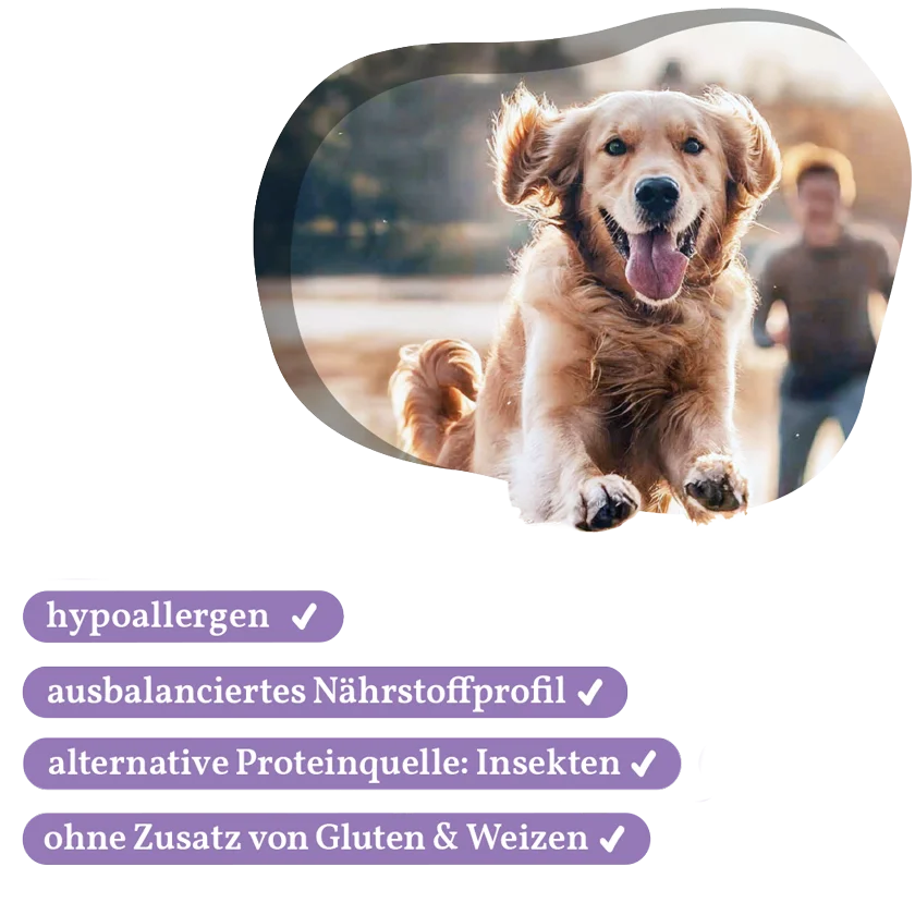 Fellows Hypo-Superstar Trockenfutter kaufen