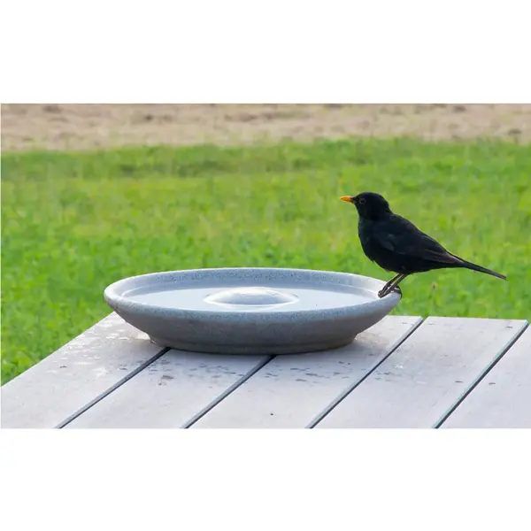 Vogeltränke Granicium® kaufen