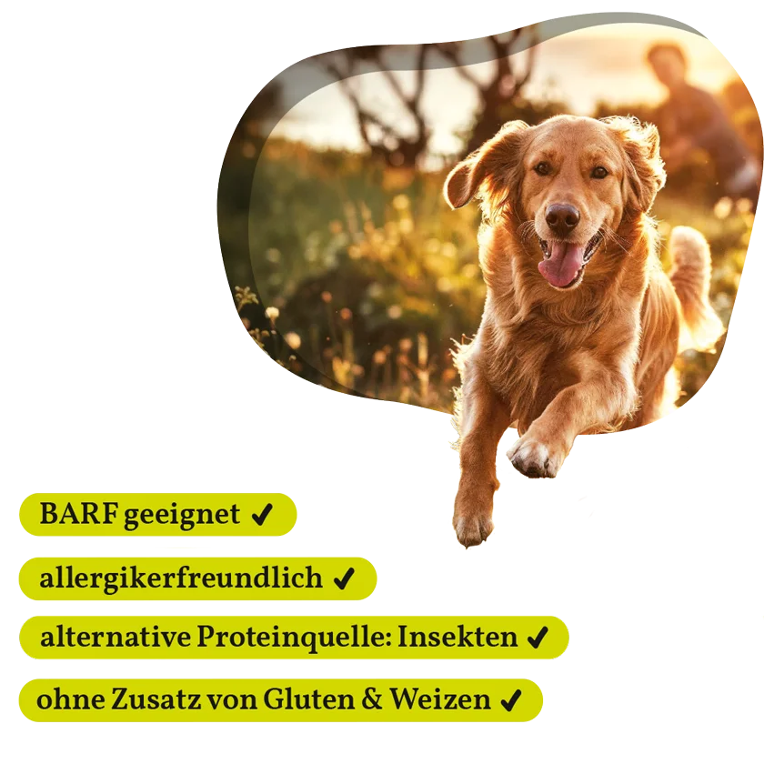 Fellows Geheimzutat Ergänzungsfuttermittel kaufen