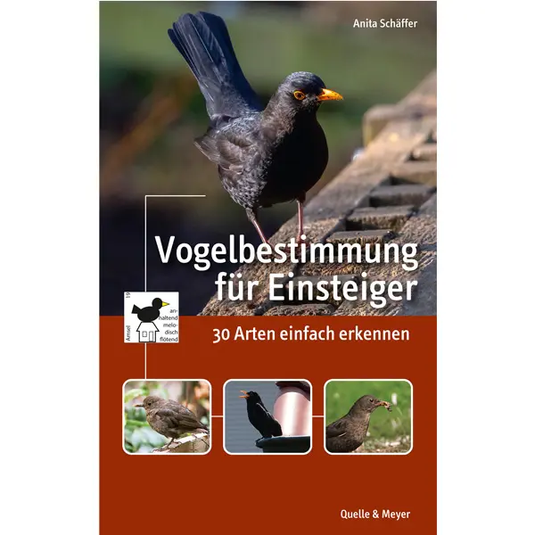 Buch "Vogelbestimmung für Einsteiger" kaufen