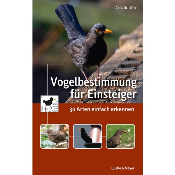 Buch "Vogelbestimmung für Einsteiger" kaufen