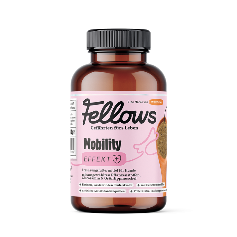 Fellows Supplements